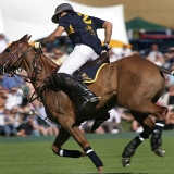 Photoscience - Polo and Wedding photographers in Hampshire Surrey and Sussex